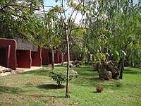 comp_amboseli-serena-lodge-www-lofty-tours-com-21_1