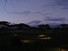 comp_dsc04603