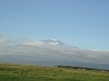 comp_dsc04617