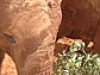 comp_dsc04375