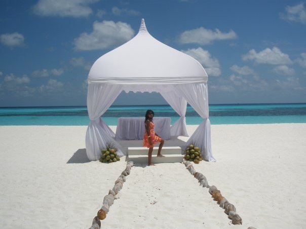 5728_141921674383_512289383_3352810_3515726_n