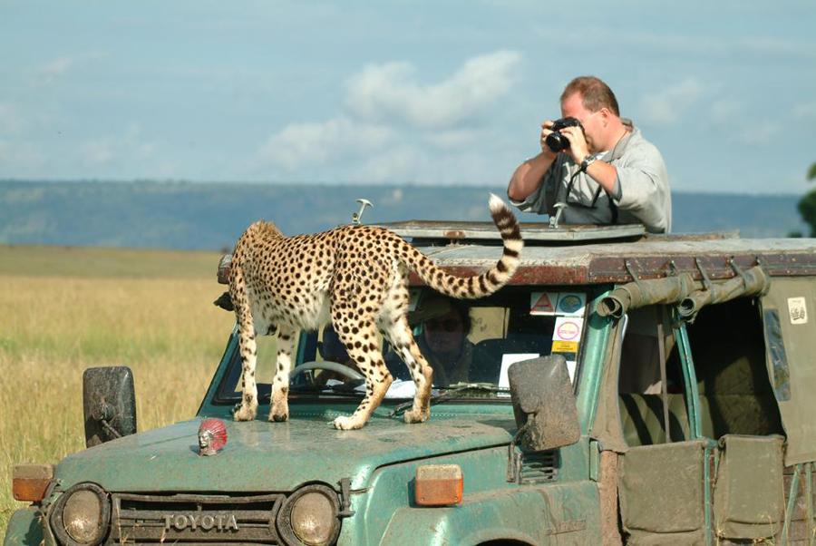 lofty_tours_geparden_safari_05