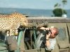 lofty_tours_geparden_safari_07
