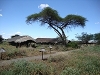 comp_dsc04702