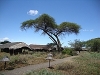comp_dsc04703