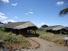 comp_dsc04704