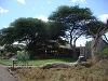 comp_dsc04705