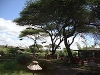 comp_dsc04708