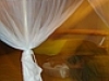comp_dsc04752