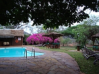 comp_tsavo-west-kilanguni-serena-lodge-www-lofty-tours-com-3