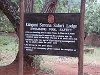 comp_tsavo-west-kilanguni-serena-lodge-www-lofty-tours-10