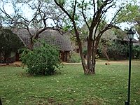 comp_tsavo-west-kilanguni-serena-lodge-www-lofty-tours-11