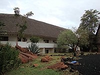 comp_tsavo-west-kilanguni-serena-lodge-www-lofty-tours-19