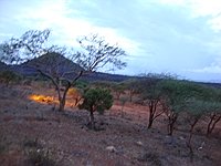 comp_tsavo-west-kilanguni-serena-lodge-www-lofty-tours