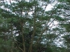 land_und_leute_kenia_42