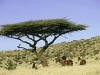 comp_horse-riding