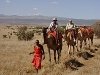 comp_lewa-wilderness-camel-walk