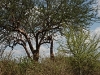 comp_dsc_0093-1