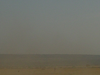 comp_dsc03290