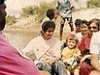 comp_robinson-island-shamshu-family-19910034