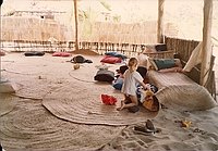 comp_robinson-island-shamshu-family-19910019