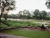 comp_qd0051008_0