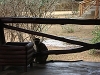 comp_dsc00106