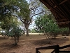 comp_satao-safari-camp-www-lofty-tours-com-garden-1