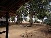 comp_satao-safari-camp-www-lofty-tours-com-garden-2