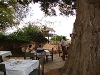 comp_satao-safari-camp-www-lofty-tours-com-lunch-under-tamarind-tree-5