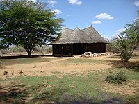 comp_satao-safari-camp-www-lofty-tours-com-tent-1