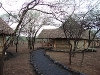 comp_dsc00398