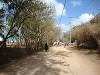 comp_dsc03191