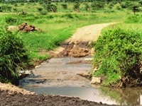 lofty_tours_tsavo_102634