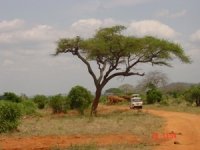 lofty_tours_tsavo_102636