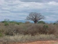 lofty_tours_tsavo_102646