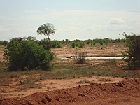 comp_tsavo-east-hyana-1-www-lofty-tours-com