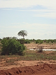 comp_tsavo-east-hyana-www-lofty-tours-com