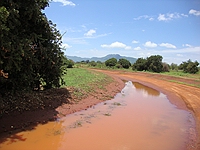 comp_tsavo-east-www-lofty-tours-com-5