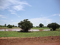 comp_tsavo-east-www-lofty-tours-com-6