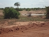 comp_tsavo-ost-hyane-www-lofty-tours-com