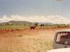 comp_tsavo-salt-lick-safri-mit-muehlheimer-19930007