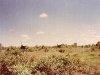 comp_tsavo-salt-lick-safri-mit-muehlheimer-19930008