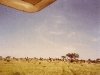 comp_tsavo-salt-lick-safri-mit-muehlheimer-19930010