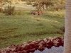 comp_tsavo-salt-lick-safri-mit-muehlheimer-19930014